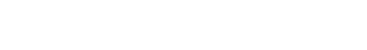 New Time Logistic Logo